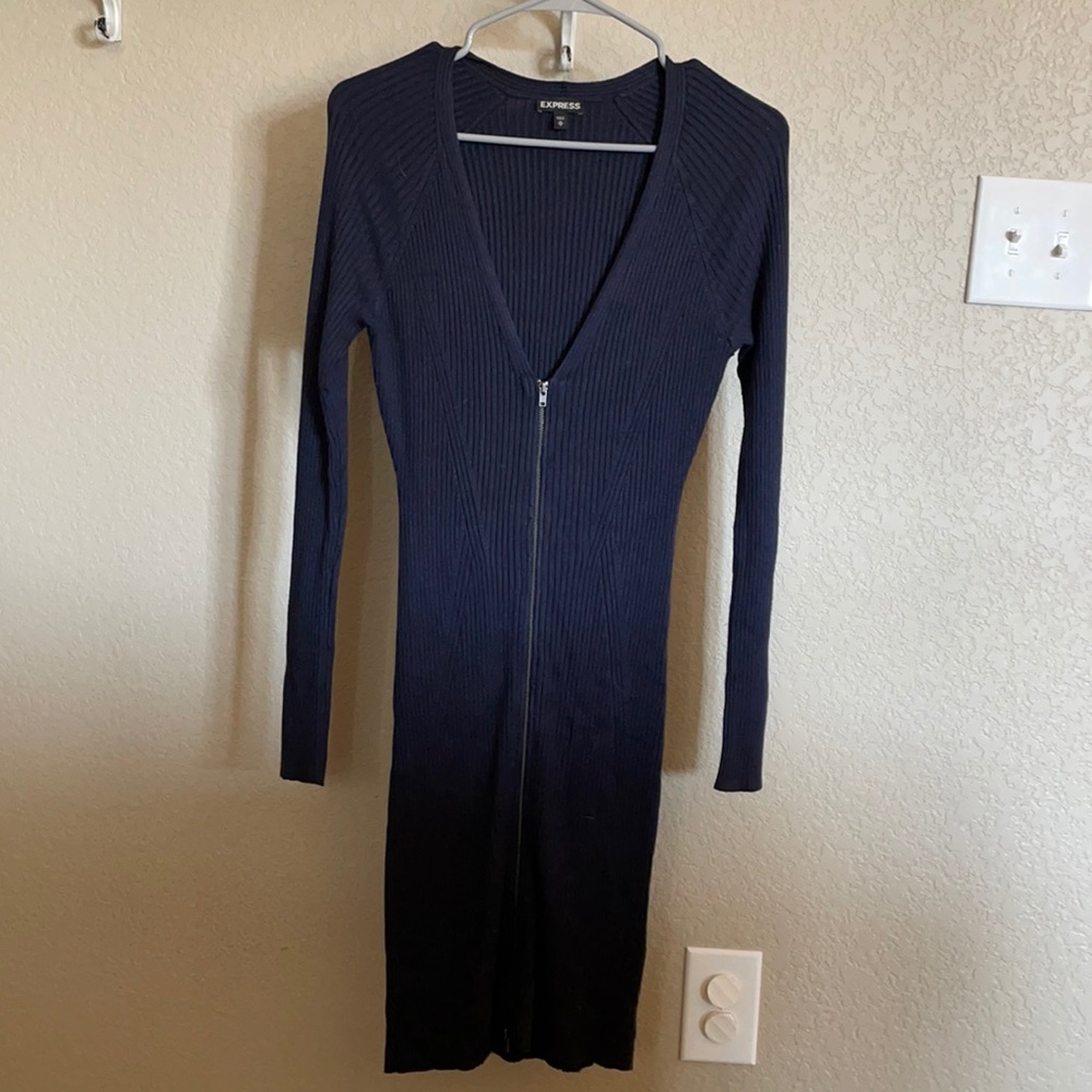 Express Sweater Dress